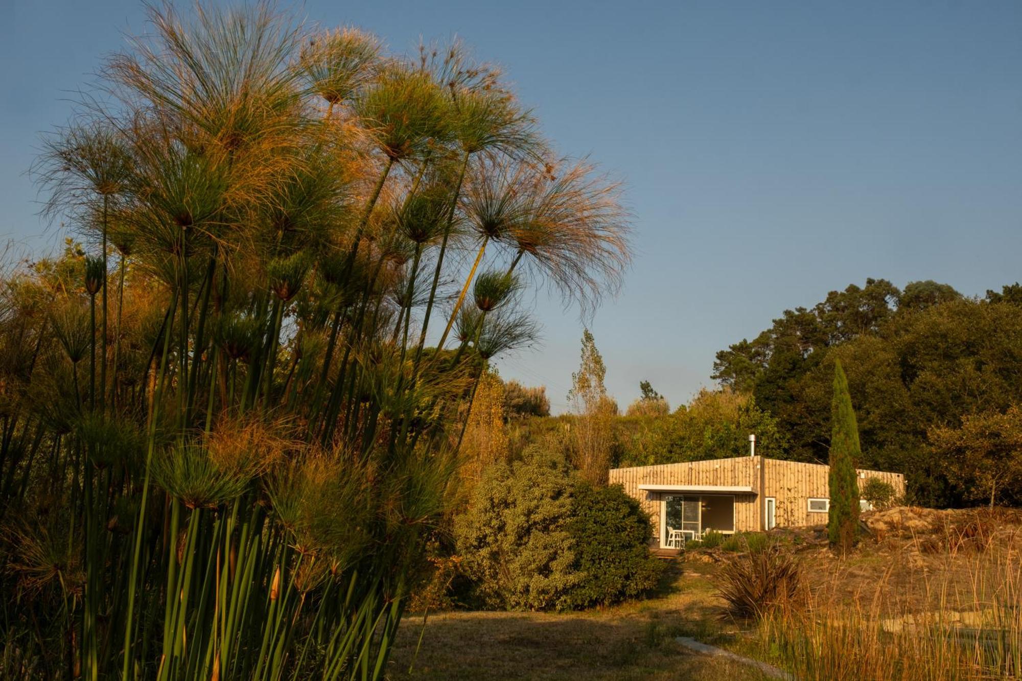 Villa O Vale Ericeira Exterior foto
